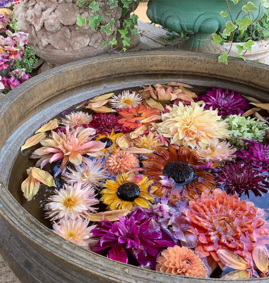 Floral arrangement at Petersham Nurseries